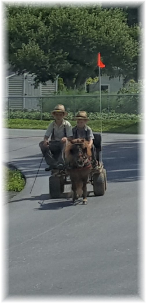 Old order Mennonite boys, Lancaster County, PA 6/30/16