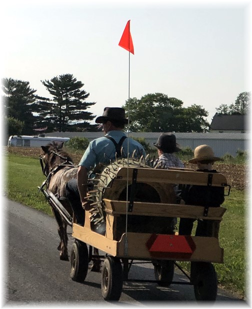 Mini horse and cart along Rt 322, Lancaster County, PA 6/7/18