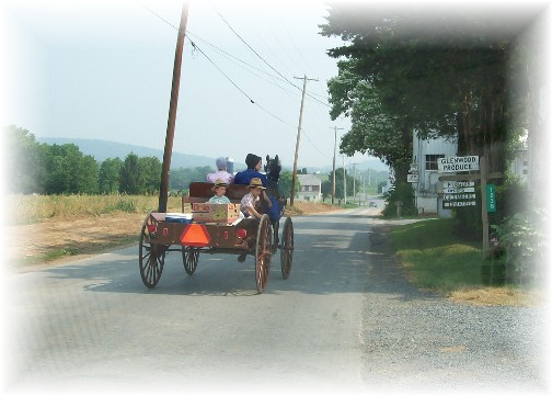 Mennonite open cart in Lancaster County PA 6/9/11
