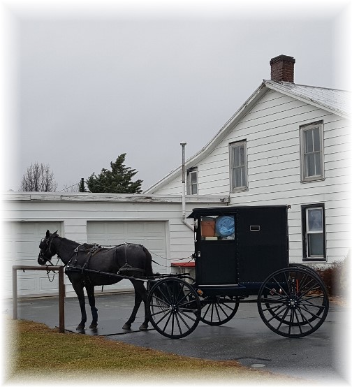 Old-order Mennonite buggie 12/29/16
