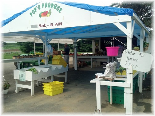 Lancaster County PA produce stand 7/24/13
