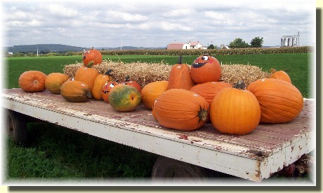 Pumpkins on wagon in Lancaster County
