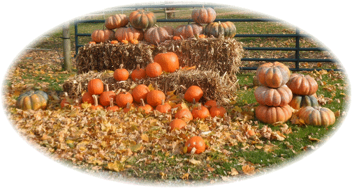 Autumn pumpkins, Lancaster County PA 11/14/13