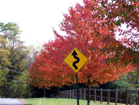 Risser Mill Road foliage