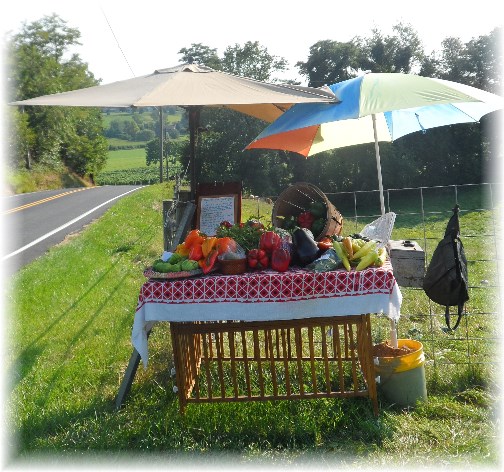 Roadside produce stand, Lancaster County, PA 8/20/13