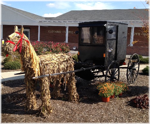 Display at Shady Maple 10/21/14