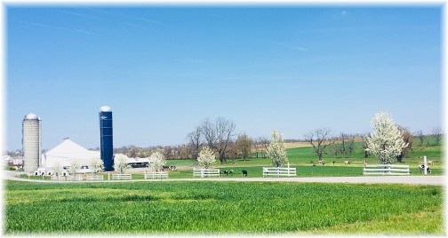 Farm lane near Strasburg, PA 4/23/18 (Click to enlarge)