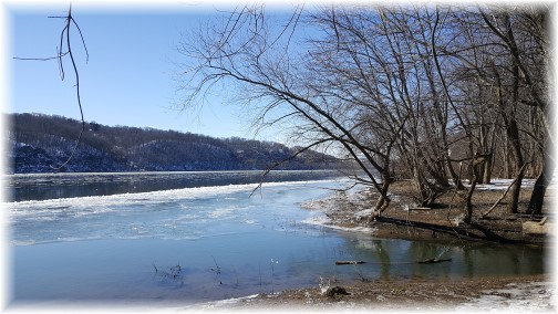 Susquehanna River, Lancaster County, PA 2/14/16 (Click to enlarge)