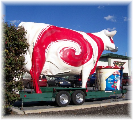 The Turkey Hill riding cow, Lancaster County PA