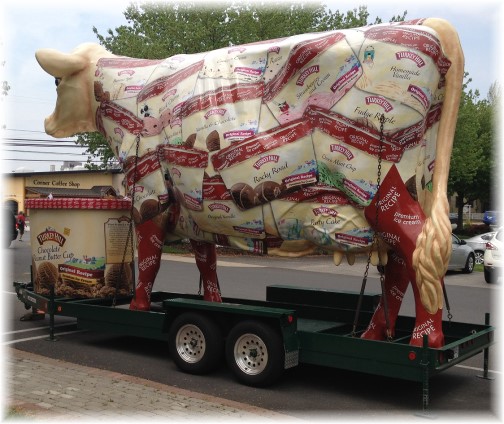 Turkey Hill traveling cow