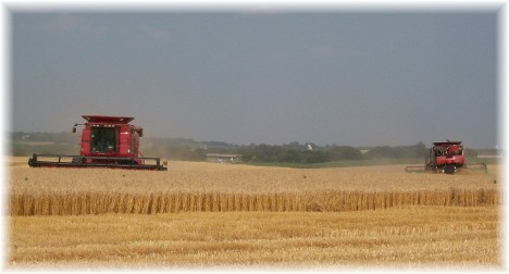 Combines at wheat harvest, Lancaster County PA 6/25/10