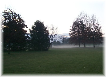 Foggy morning