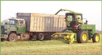 Hay harvest