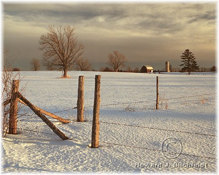 Michigan winter scene (photo by Howard J. Blichfeldt)