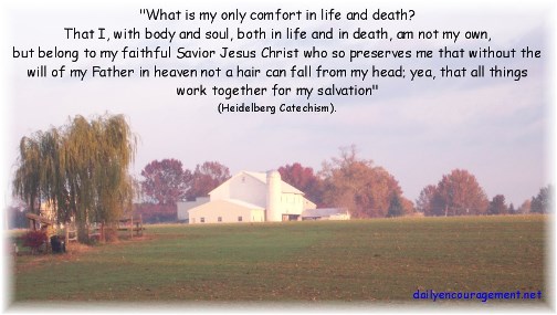 Morning farmview with faith statement