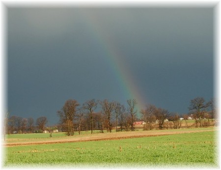 Rainbow (photo by Doris High)