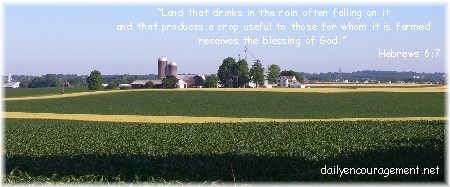 Amish team planting corn