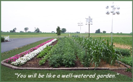 Well-watered garden on Amish farm