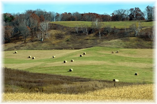 Wisconsin field (Photo by Doris High)