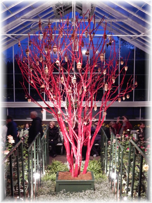 Red tree at Longwood Gardens 12/19/14