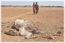 Somali drought 2011
