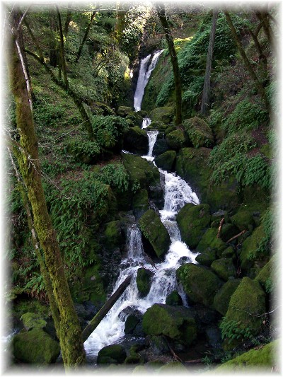 Cascade Trail Waterfall