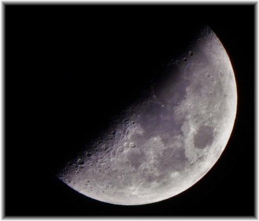 Moon (Photo by Ester Weber)