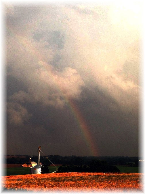 Rainbow (photo by Ester)