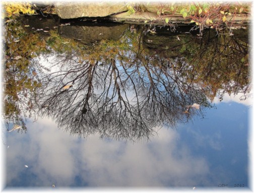 Refection on water (photo by Georgia)