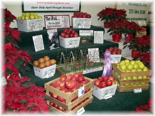 2011 Pennsylvania Farm Show apple display