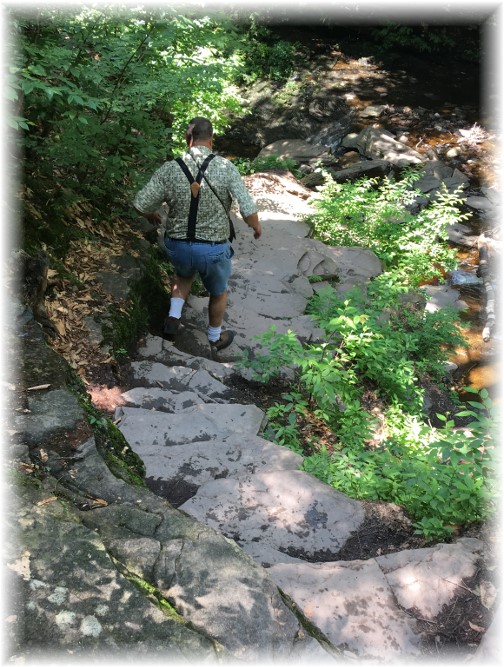 Falls Trail, Ricketts Glen State Park 6/28/17