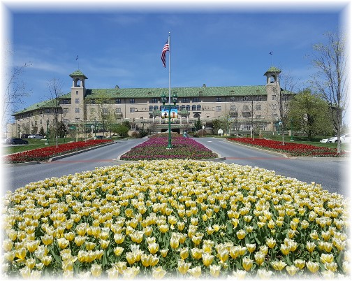 Hotel Hershey tulips (click to enlarge)