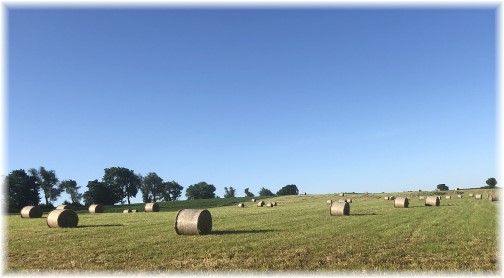 Lebanon County hay field 6/12/18