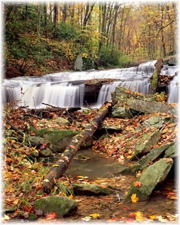 Ohiopyle Falls, western Pennsylvania (Photo by Howard Blichfeldt(