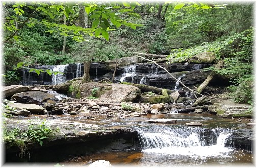 Waterfall at Rickett's Glen 6/28/17 (Click to enlarge)