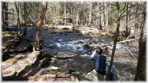 Stony Valley rail trail stream 4/11/17