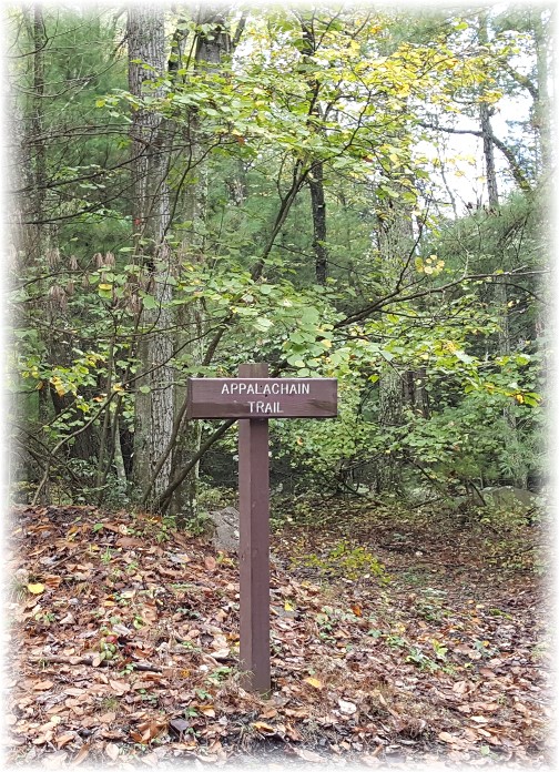Stony Valley Creek Appalachain Trail crossing 10/15/17