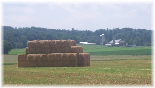 Straw bales on Lebanon County farm