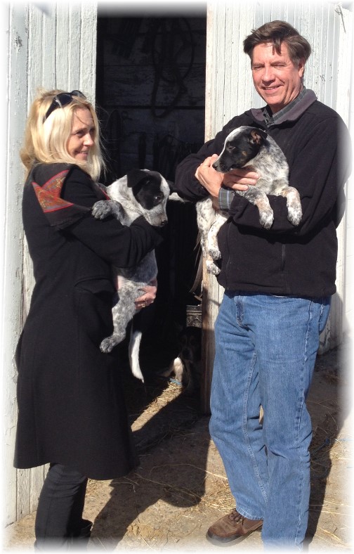 Bob and Laura Cook with pups in Lancaster County 11/8/14