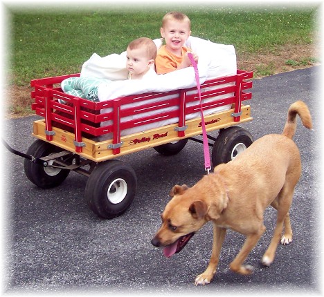 David and Seth in wagon