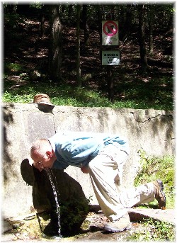 Nelson drinking from mountain spring