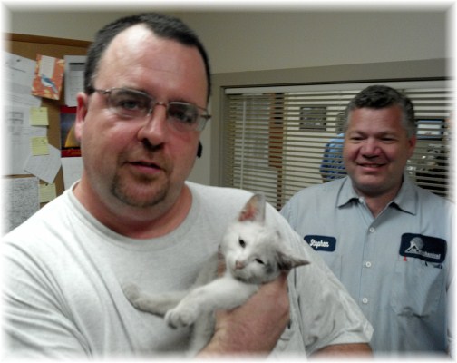 JK Kitten with Bob and Stephen