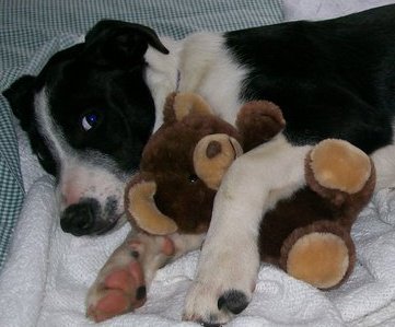 Molly with teddy bear