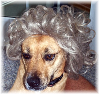 Roxie with wig
