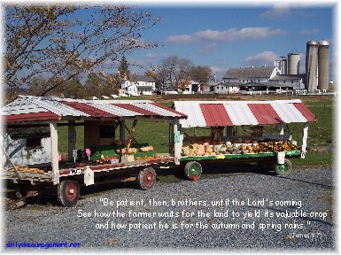Photo of produce stand with Scripture verse