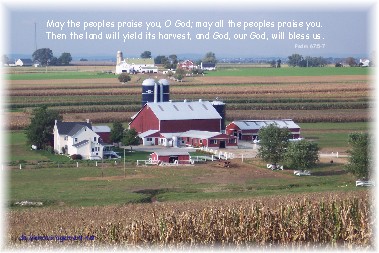 Amish farm at harvest (Click on photo to enlarge)