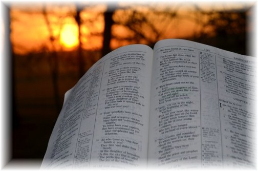 Bible in morning (photo by Doris High)