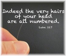 Luke 12:7