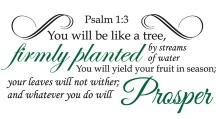 Psalm 1:3
