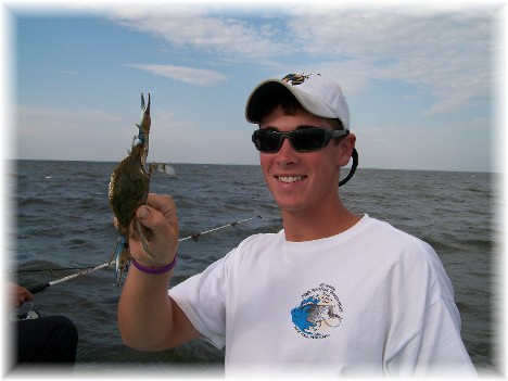 Crab caught on Chesapeake Bay 9/8/10